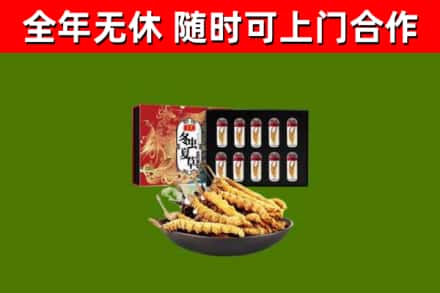 亚东县回收冬虫夏草价格