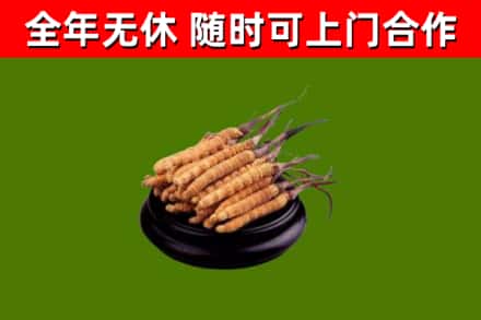 亚东县烟酒回收冬虫夏草.jpg