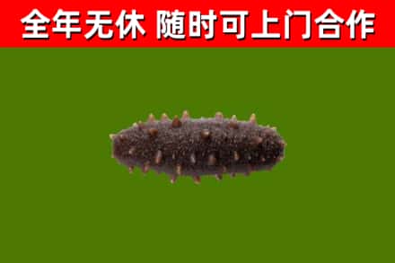 亚东县烟酒回收干海参.jpg